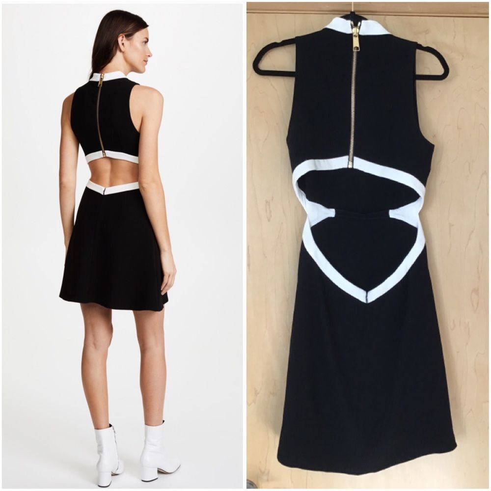 Rachel Zoe Constance Dress  $345.00 - Picture 9 of 10